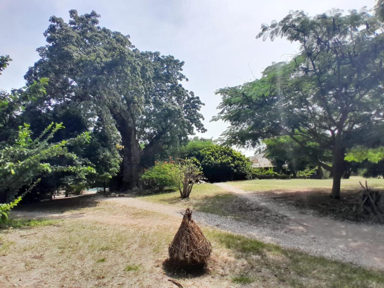 Les Collines De Niassam Villa Palmarin Exterior photo